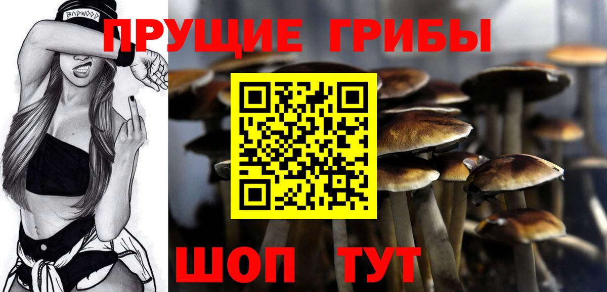 Белово  Псилоцибиновые грибы мухоморы  Вход с VPN  Галлюциногенные грибы мицелий 